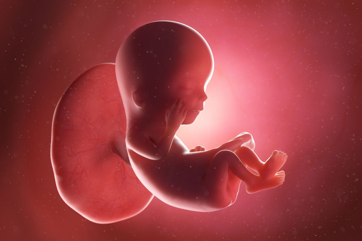 Bebeluș atașat de placentă, cu o mână la obraz și genunchii flexați și picioarele încrucișate, în săptămâna 12 de sarcină