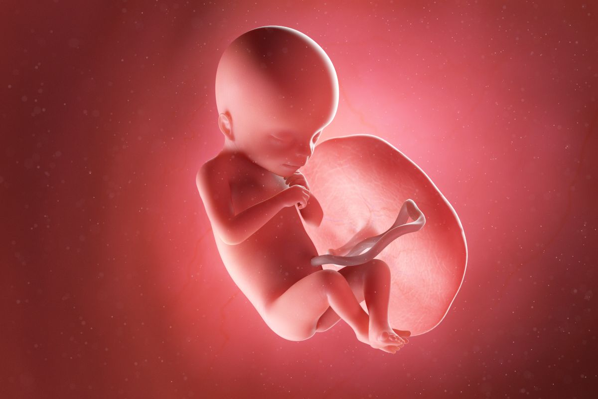 Bebeluș în curs de dezvoltare, cu cordon ombilical și placentă, cu genunchii flexați și picioarele încrucișate și mâinile la piept, în săptămâna 18 de sarcină