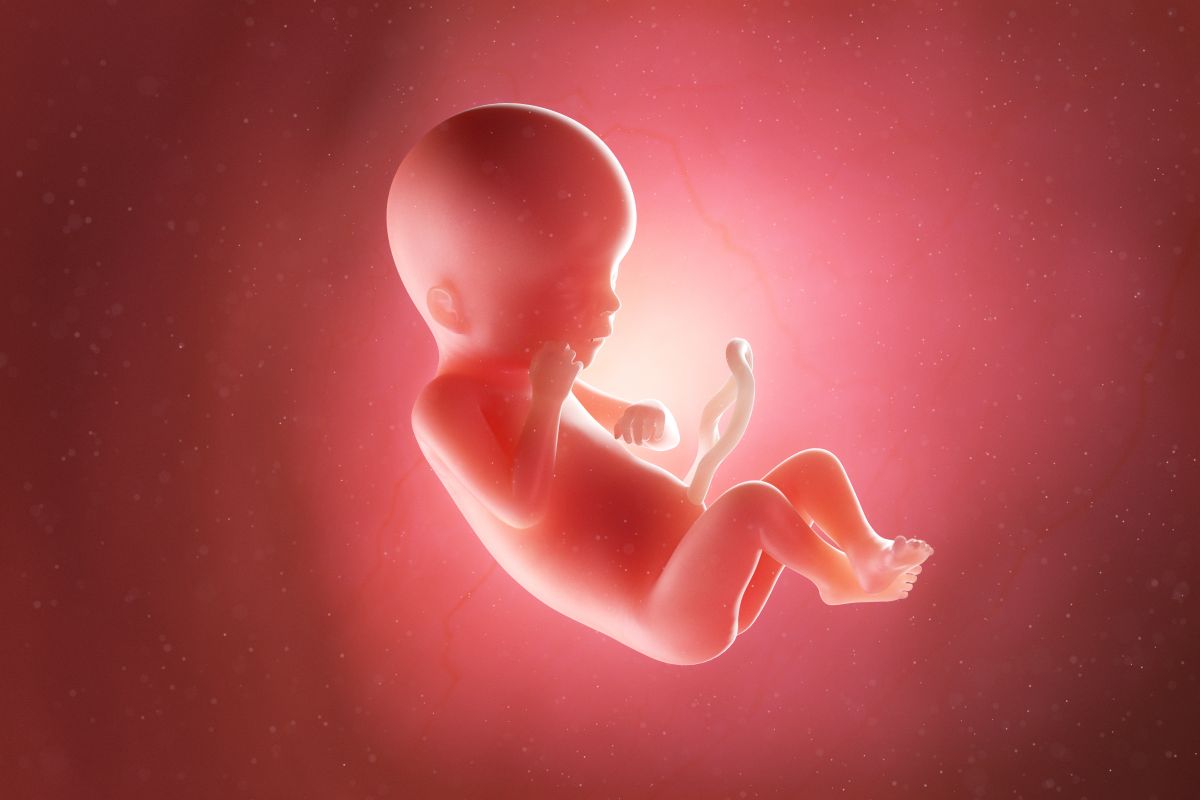 Bebeluș în curs de dezvoltare, cu cordon ombilical, cu o mână la obra, genunchii flexați, în săptămâna 19 de sarcină