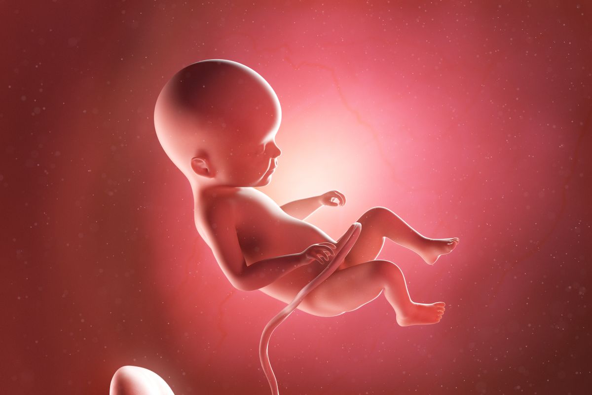 Bebeluș în curs de dezvoltare, cu cordon ombilical și placentă, cu coatele îndoite și genunchii flexați, în săptămâna 22 de sarcină