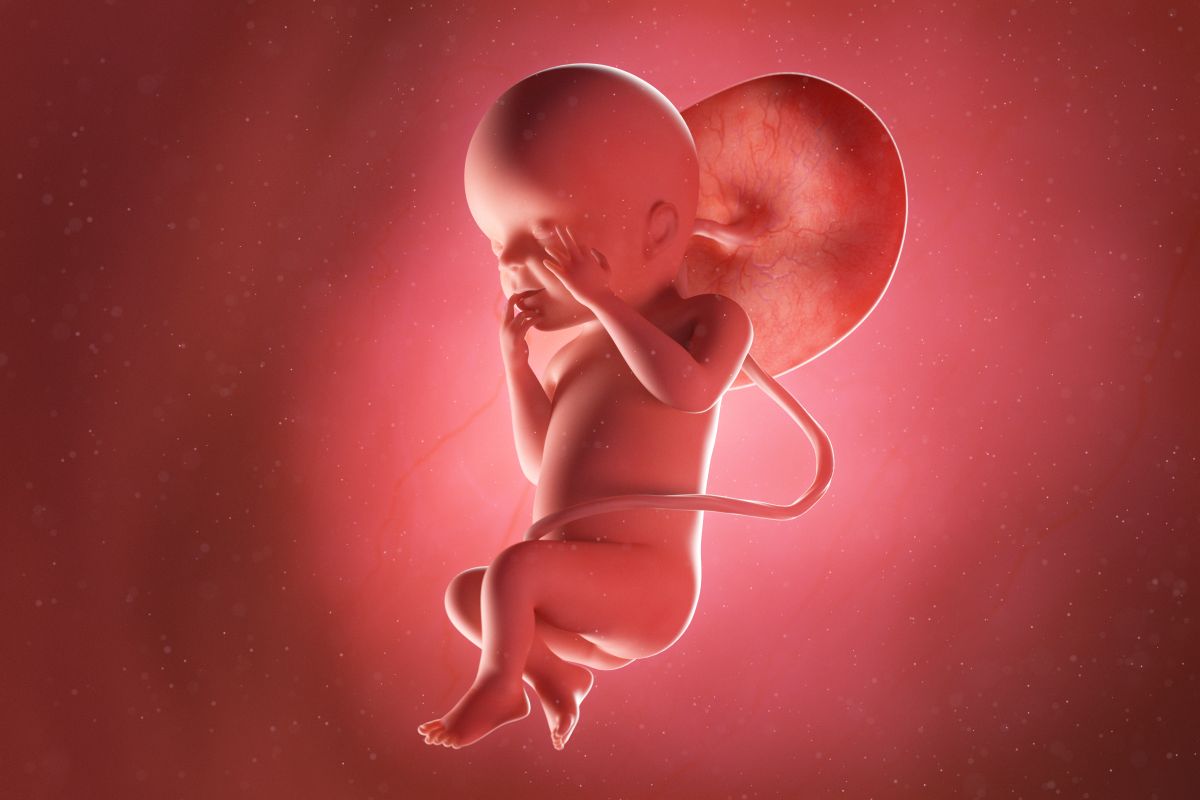 Bebeluș în curs de dezvoltare, cu cordon ombilical și placentă, cu o mână pe obraz și una la gură și picioarele încrucișate, în săptămâna 23 de sarcină