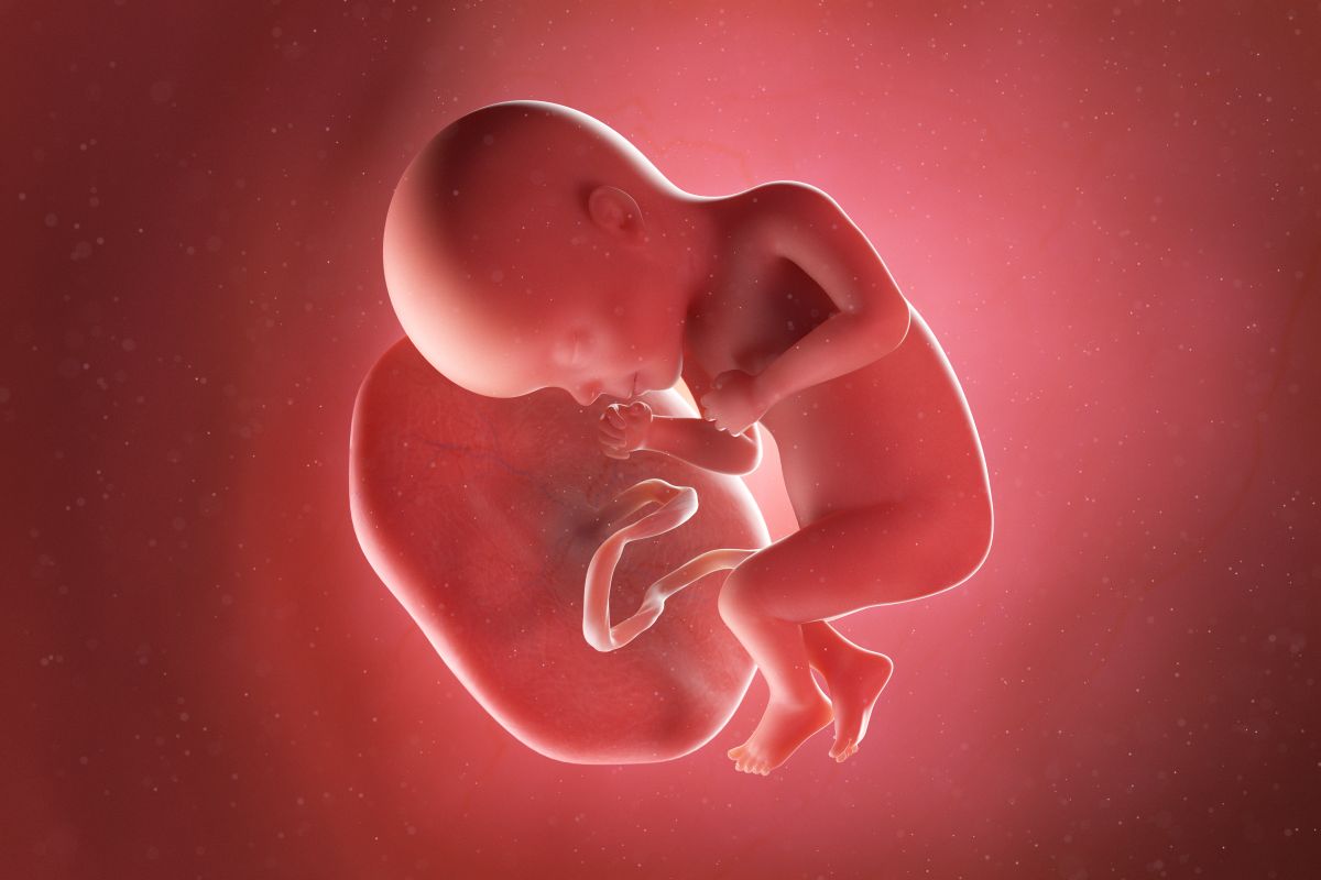 Bebeluș în curs de dezvoltare, cu cordon ombilical și placentă, cu o mână la gură și picioarele încrucișate, în săptămâna 27 de sarcină