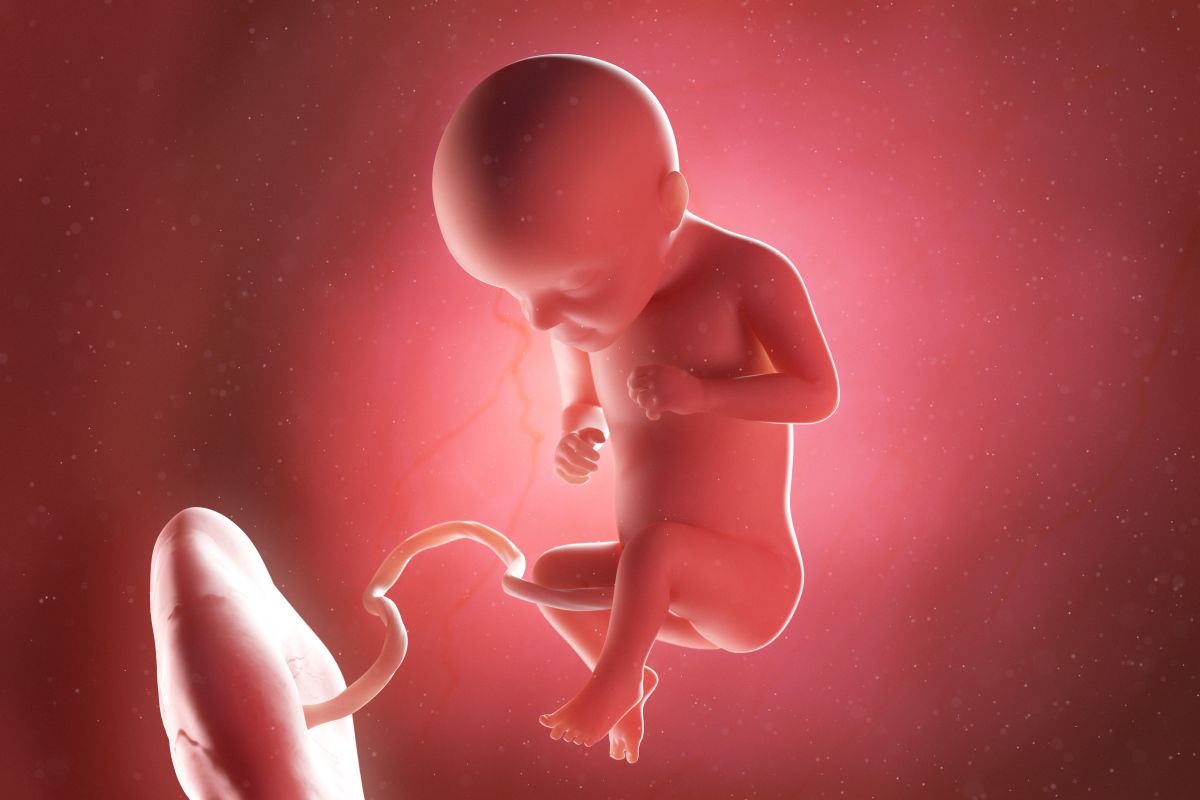 Bebeluș în curs de dezvoltare, cu cordon ombilical și placentă, cu mânile la piept și picioarele încrucișate, în săptămâna 29 de sarcină