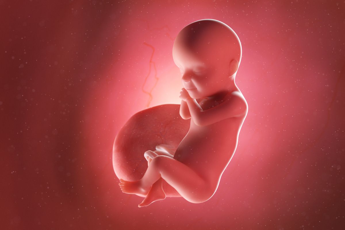 Bebeluș în curs de dezvoltare, cu cordon ombilical și placentă, cu mâinile lângă obraz și picioarele încrucișate, în săptămâna 30 de sarcină