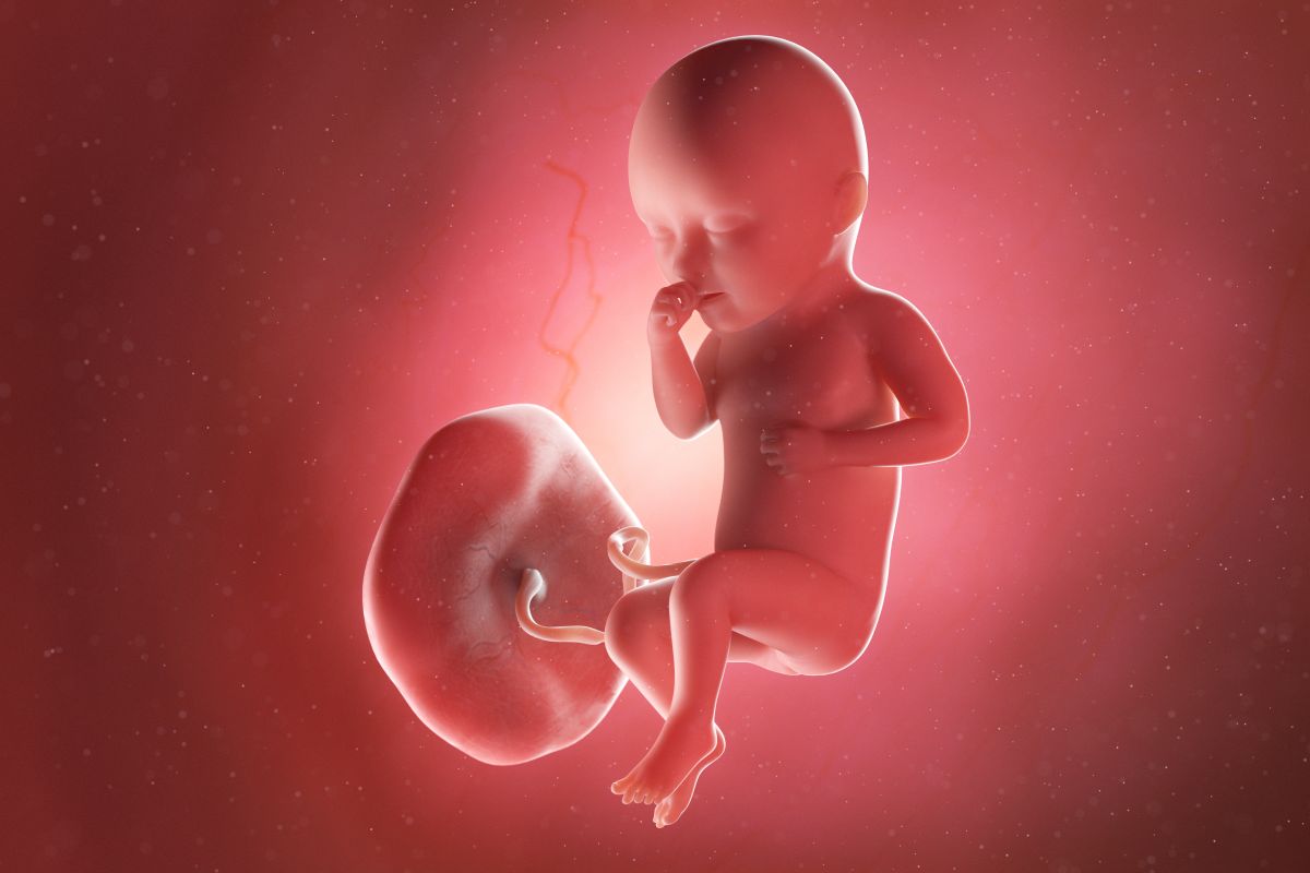Bebeluș în curs de dezvoltare, cu cordon ombilical și placentă, cu o mână la gură și picioarele încrucișate, în săptămâna 34 de sarcină
