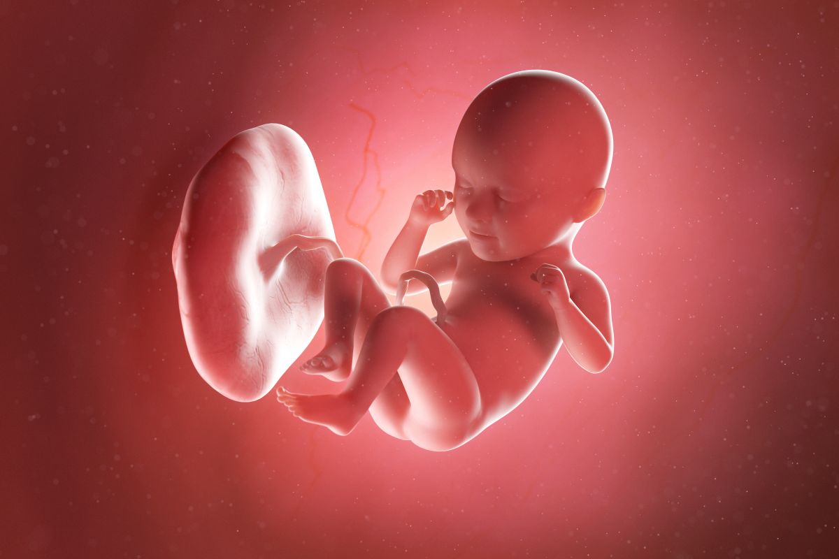 Bebeluș în curs de dezvoltare, cu cordon ombilical și placentă, cu o mână la obraz și genunchii flexați, în săptămâna 35 de sarcină