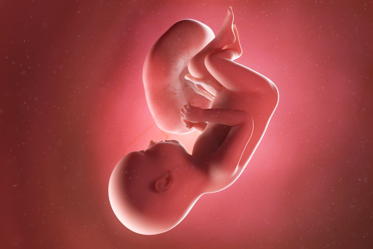 Bebeluș în curs de dezvoltare, cu cordon ombilical și placentă, cu capul în jos, palmele apropiate și picioarele încrucișate, în săptămâna 37 de sarcină