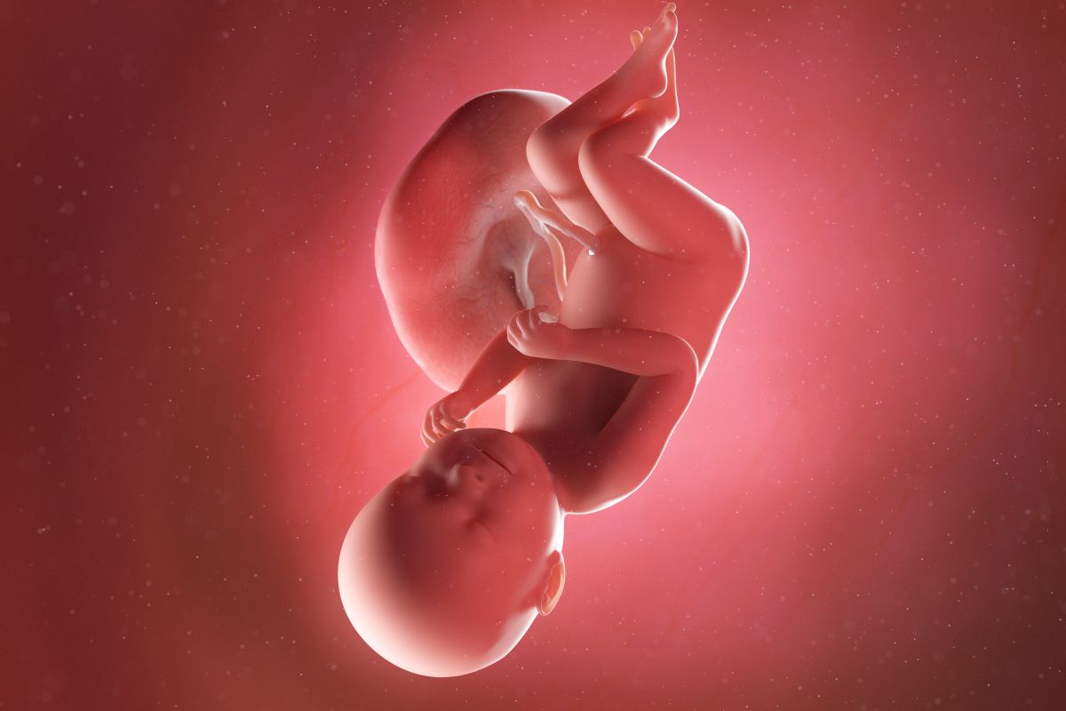 Bebeluș în curs de dezvoltare, cu cordon ombilical și placentă, cu o mâna la obraz și picioarele încrucișate, în săptămâna 38 de sarcină