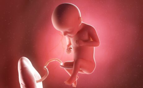 Bebeluș în curs de dezvoltare, cu cordon ombilical și placentă, cu coatele îndoite și picioarele încrucișate, în săptămâna 39 de sarcină