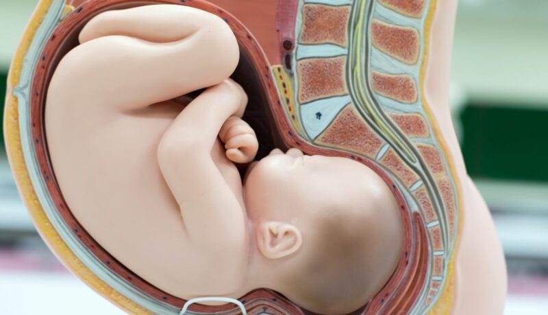 Pozițiile bebelușului la sfârșit de sarcină. Cum pot influența nașterea