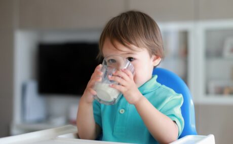Bebeluș băiețel, care stă într-un scaun de bebluș din plastic, cu spătar albastru și tvă albă și ține în ambele mâini un pahar cu lapte, ilustrând laptele de vacă la bebeluși