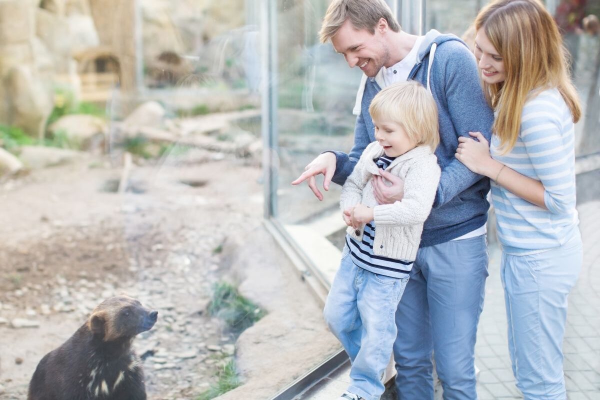 Familie cu copilul la zoo, tatăl îl ține ridicat pe copil să poată vedea un ursuleț care e de partea cealaltă a geamului, iar mama îl tine pe tată de braț, ilustrând activități de weekend