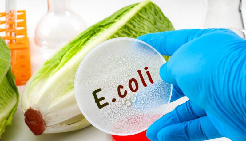 Ce trebuie să știi despre infecția cu E.coli: cauze, simptome și tratament