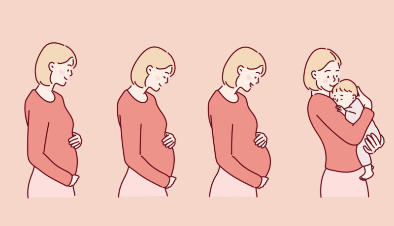 Câte luni înseamnă săptămânile de sarcină. Descoperă etapele prin care vei trece tu și bebelușul tău