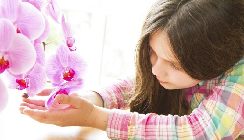 Copilul-orhidee. Cum îl recunoști și ce e de făcut pentru a-l ajuta