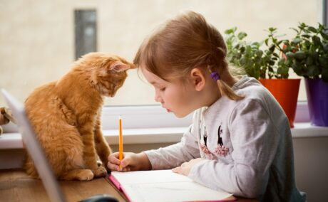 O fetiță frumoasă, blondă, cu codițe, care desenează pe un caiet în timp ce în fața ei se află o pisicuță