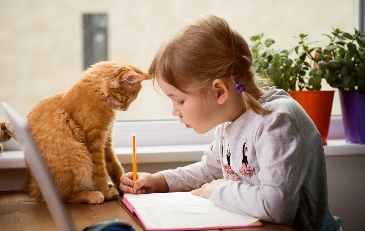 O fetiță frumoasă, blondă, cu codițe, care desenează pe un caiet în timp ce în fața ei se află o pisicuță