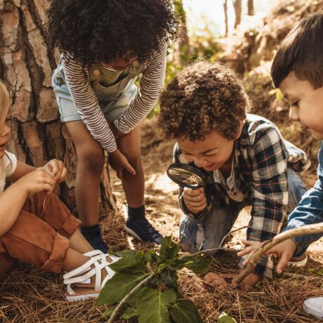 Grup de copii explorează natura