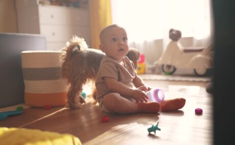 Bebeluș se joacă pe podea într-o zi luminoasă și un câine este în spatele lui