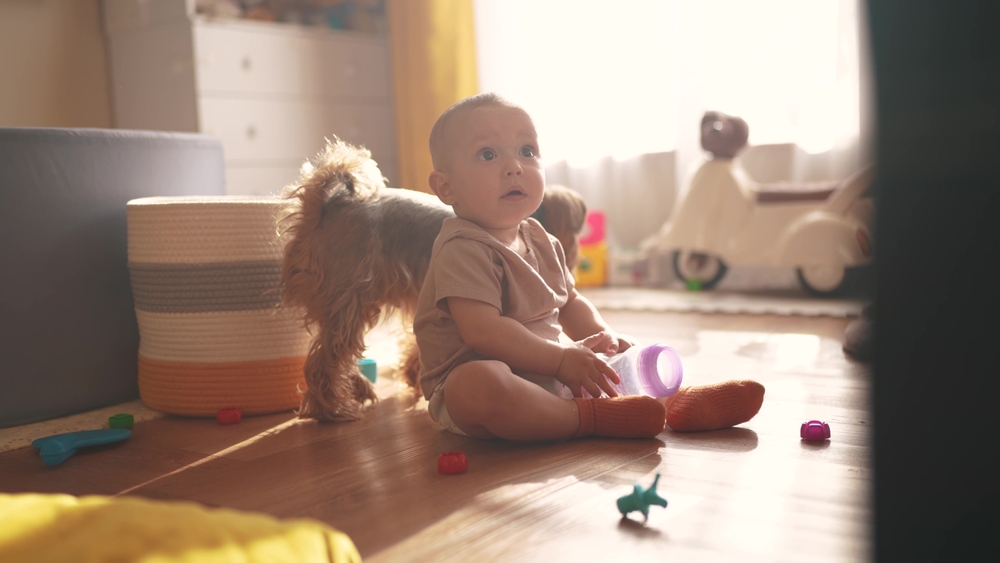 Bebeluș se joacă pe podea într-o zi luminoasă și un câine este în spatele lui