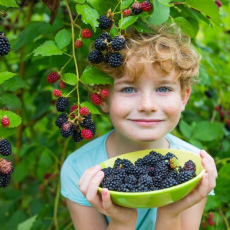 Momentul în care poți introduce murele în alimentația copilului. Sfaturi simple pentru diversificare