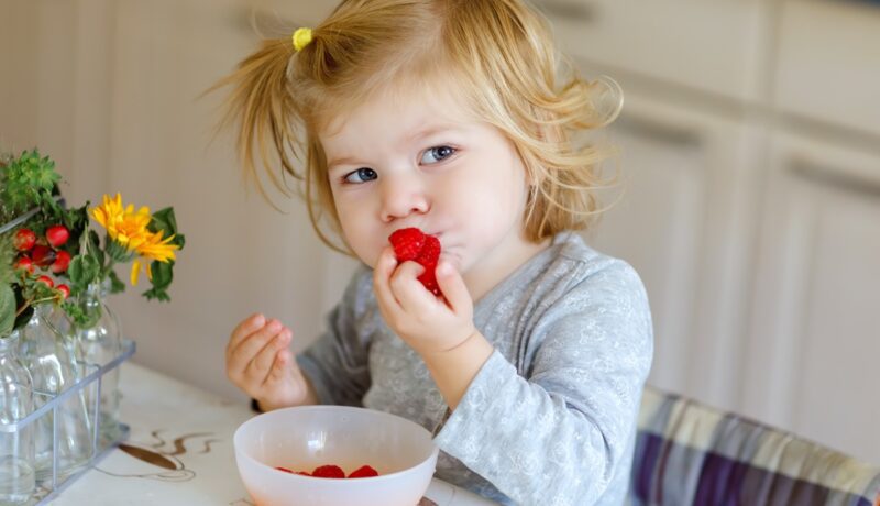 O fetiță drăgălașă care mănâncă zmeură dintr-un bol alb