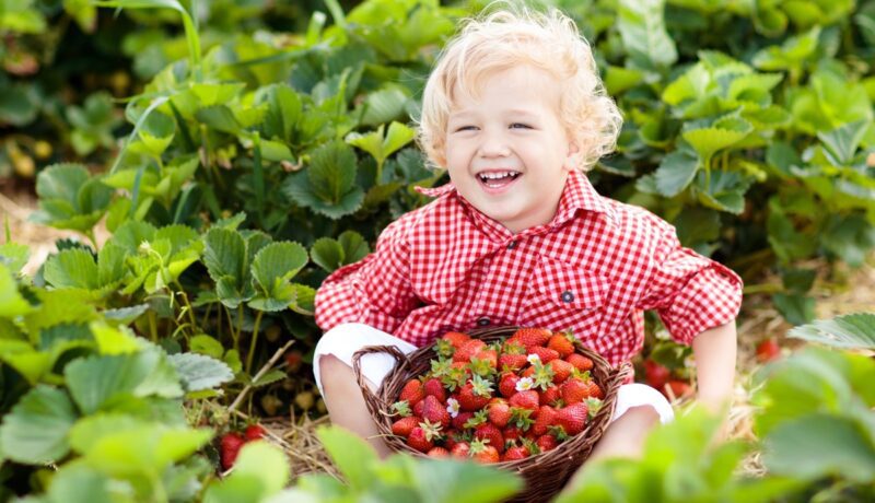 Cum poți introduce căpșunile în dieta copilului tău. Sfaturi utile de la nutriționiști