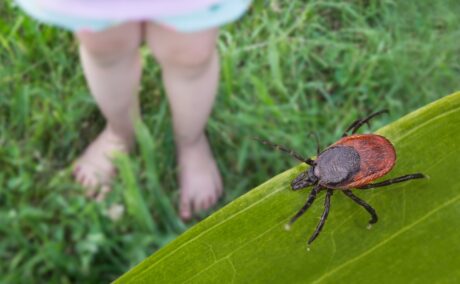 O fetiță care stă cu picioarele în iarbă