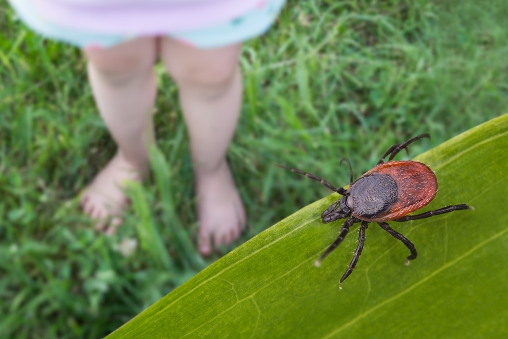 O fetiță care stă cu picioarele în iarbă