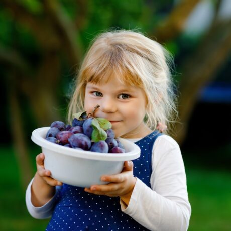 Când poți introduce prunele în alimentația copilului tău. Sfaturi utile pentru diversificare