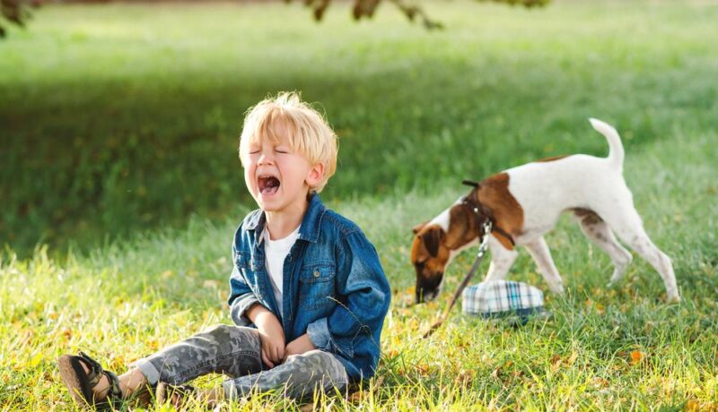 7 probleme de comportament ale copiilor mici și cum să le abordați